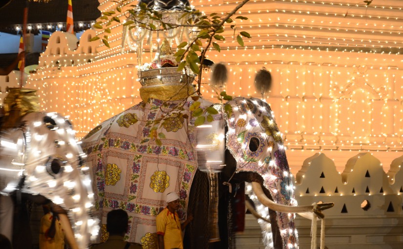 10 Essential Places to Visit in Sri Lanka