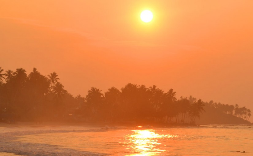 A Guide to Sri Lanka's Incredible Wildlife Safaris