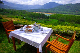 Enchanted Romantic Honeymoon